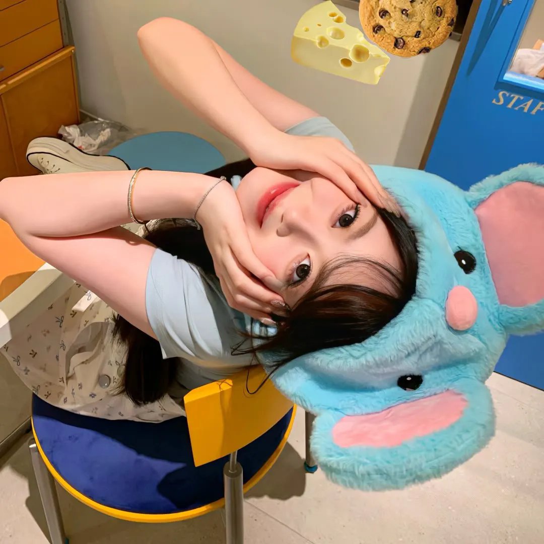 斑马