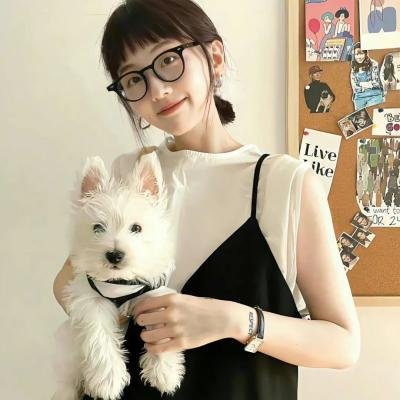 谍网纵横